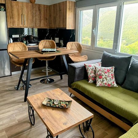 G.Tzanis Luxury Apartments Парга Екстериор снимка